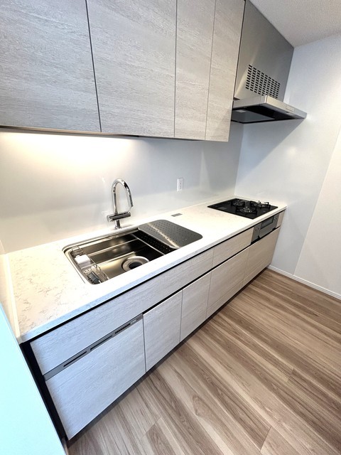 ＨＡＲＵＭＩ　ＦＬＡＧ　ＳＵＮ　ＶＩＬＬＡＧＥ　Ｔ棟4603号室 2025年11月撮影