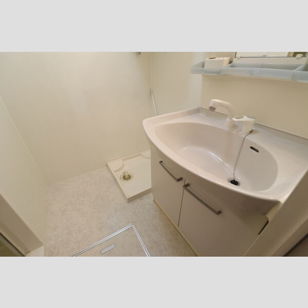 リビングタウン鍵山　C305号室 洗髪洗面化粧台