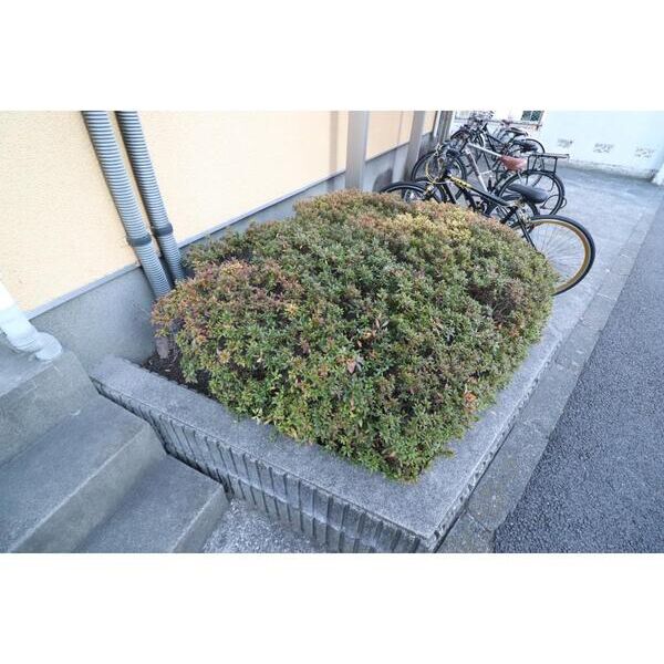 ハビタス調布213号室 同建物別部屋の参考画像