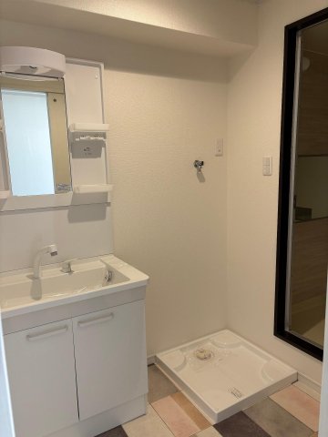 ラ・ファミーユ湖北 E1棟 洗面