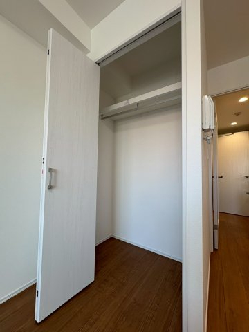 DIPS竹ノ塚駅前306号室 収納
