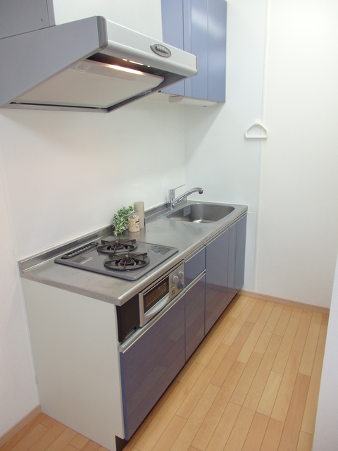 Ｖｉｌｌａ　Ｎｏａｈ．本多0303号室 キッチン