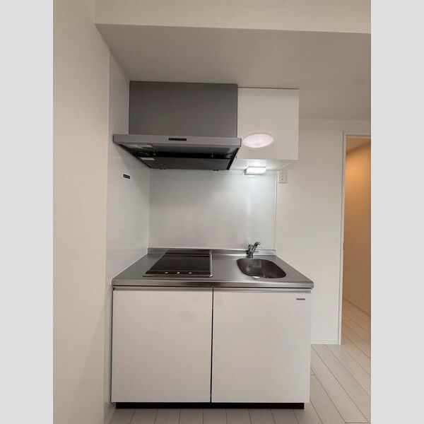 MAXIV CITY堀切RIVER SIDE302号室 玄関