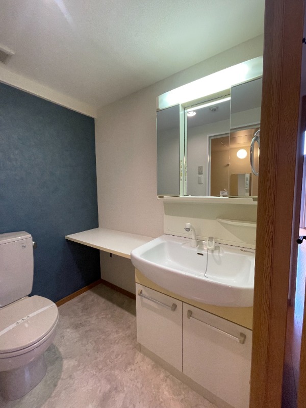 エピナール 洗面