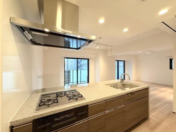 ルネサンス赤坂プレミアムコート11階 リビング