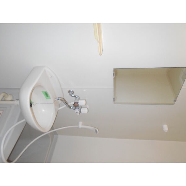 テラスブレッシング0203号室 洗面