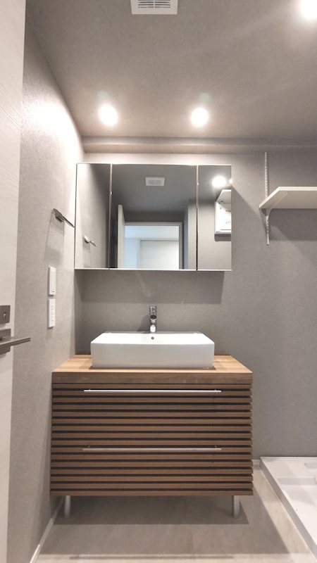 レジディア芝浦9階 洗面