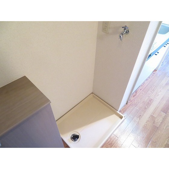 プロムナード中浦和0110号室 室内洗濯機置場