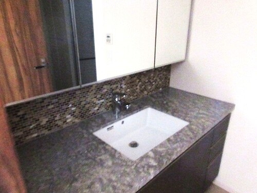 ザ・パークハウス西新宿タワー６０39階 独立洗面台