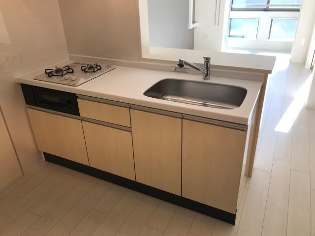 Ｂrowny Ｇreen　(ブラウニーグリーン)203号室 キッチン