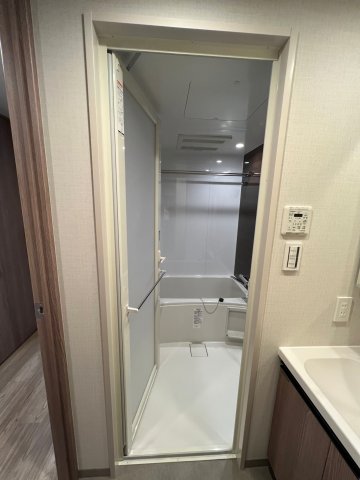 DIPS上野NORTH1001号室 洗面