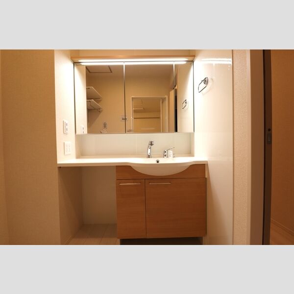 Des Ailes Trois 洗髪洗面化粧台