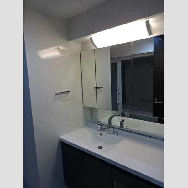 ラ・ベレッツァ　フェリオ307号室 洗面室