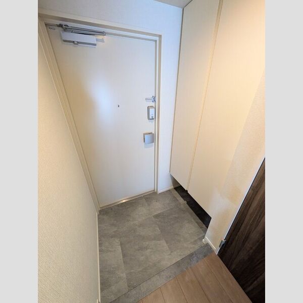 ロイジェント潮見0704号室 玄関