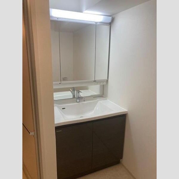 Alivis一之江309号室 洗面