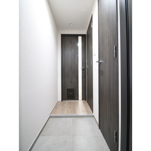 プレール・ドゥーク亀戸Ⅵ801号室 玄関