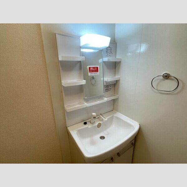 グリーンテリア　第10 洗面所　洗髪洗面化粧台