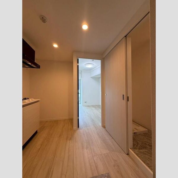 MAXIV ALIVE堀切菖蒲園401号室 キッチン