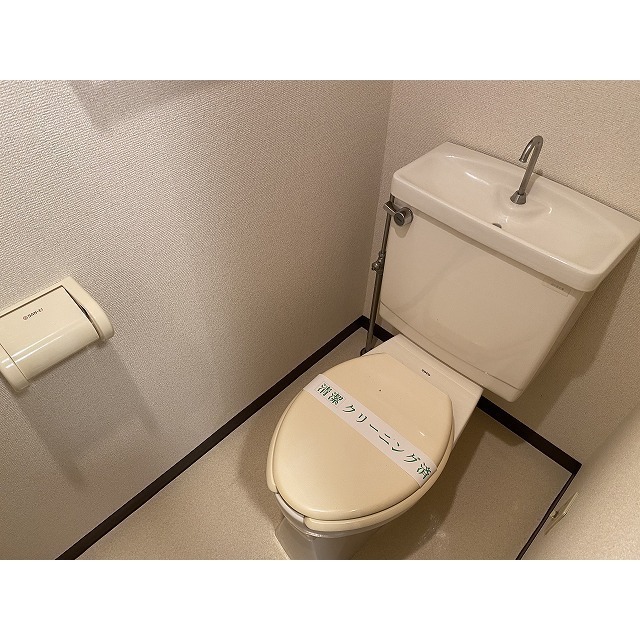カピトール川崎Ⅰ トイレ
