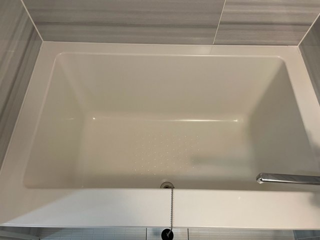 DIPS赤羽駅前803号室 お風呂