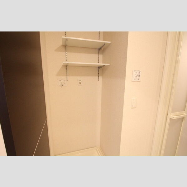 アンタレス203号室 洗濯機置場収納棚