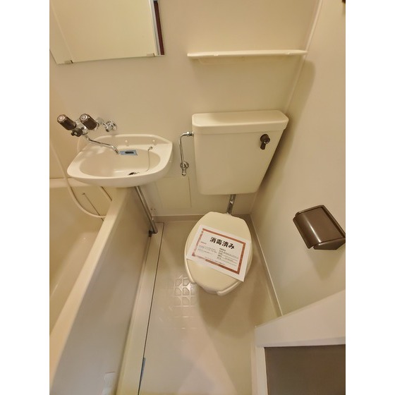 メゾンベジタブル405号室 トイレ