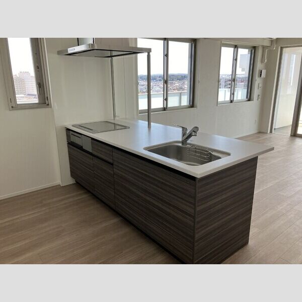 THE RejuvePort KISARAZU1104号室 システムキッチン