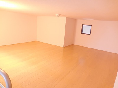 レオネクスト葉105号室 2つ目のロフトスペース