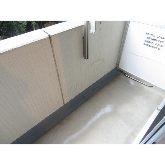 バージュアル浦和イースト0303号室 バルコニー