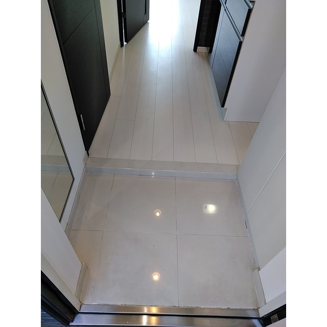 ロアール長原7階 玄関