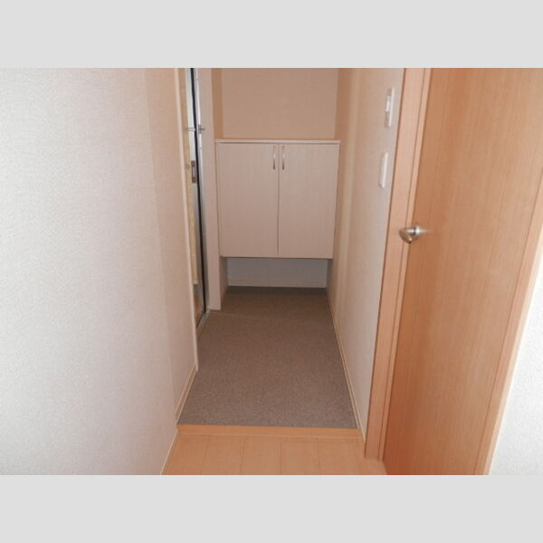 サンテラス市ヶ尾301号室 玄関