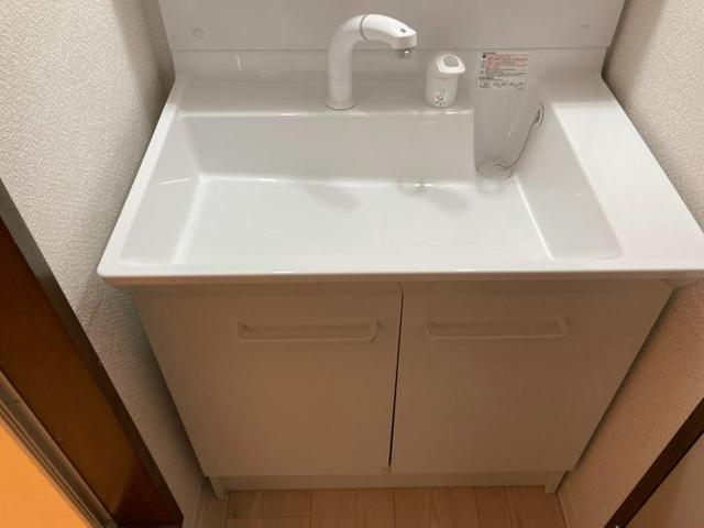 ジュネス飯村2階 洗面