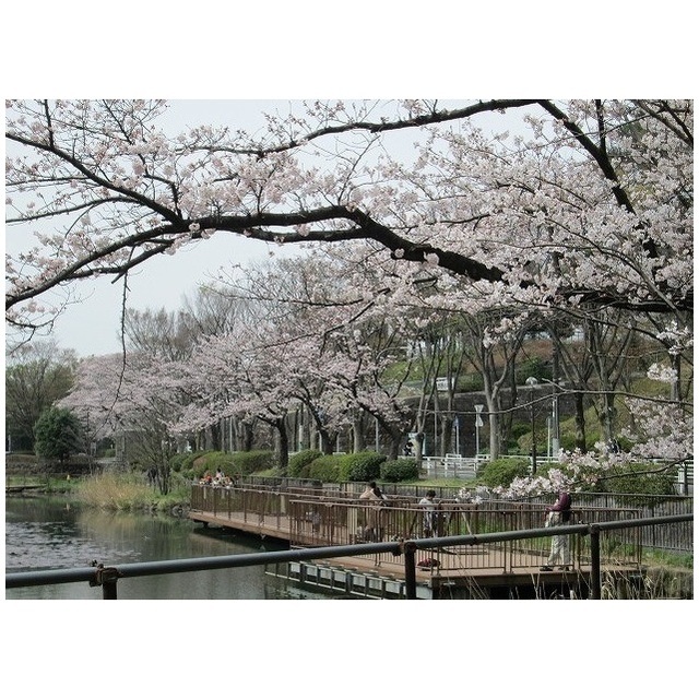 ソレイユ藤が丘102号室 公園「もえぎ野公園まで503m」