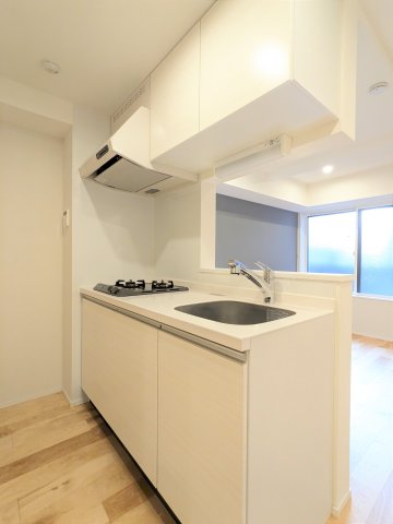 カサプレミア代田102号室 キッチン