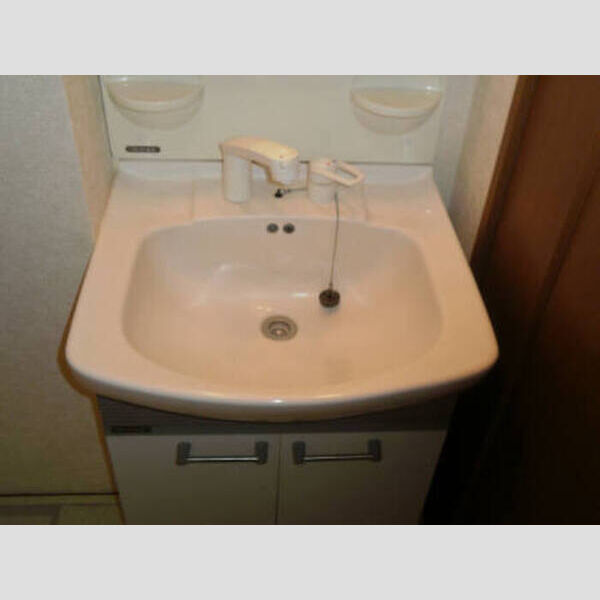 ジャーマンアイリス　Ⅱ 洗髪洗面化粧台