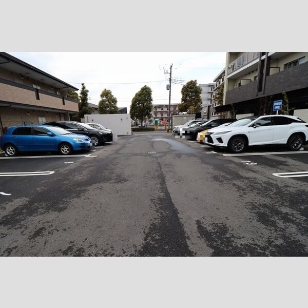 フェリス　コート0405号室 駐車場