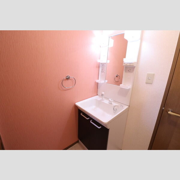 プランドール201号室 洗髪洗面化粧台