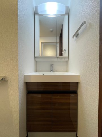 DIPS大山東町303号室 洗面