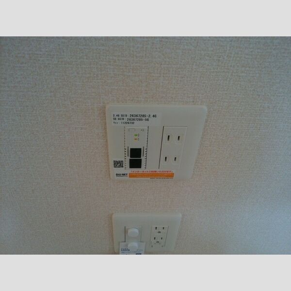 フェリシアⅢ インターネット