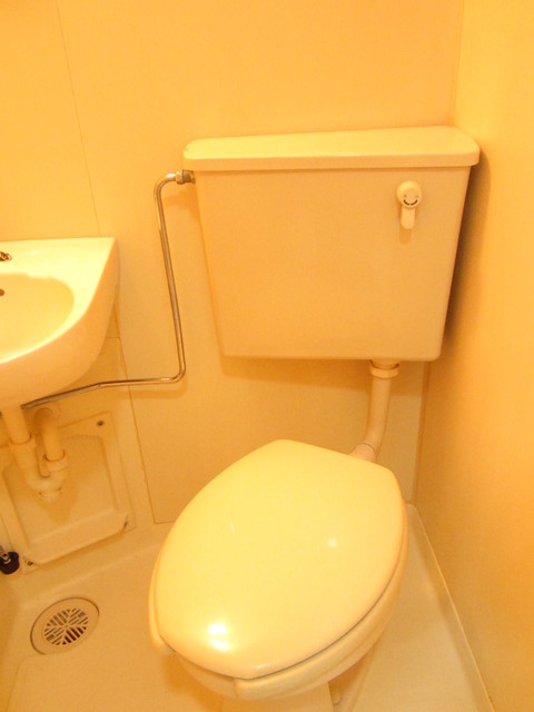 ＳＡＮＫＯ　ＨＥＩＧＨＴＳ　ＯＳＡＫＩ0407号室 トイレ