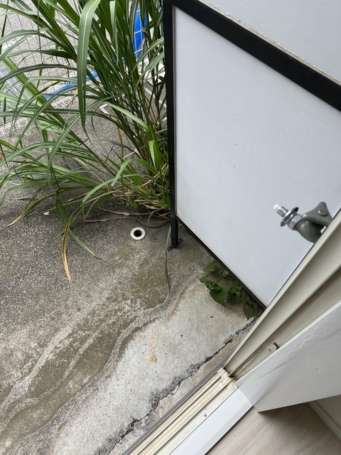 スプリングハウス2階 同建物別部屋の参考画像