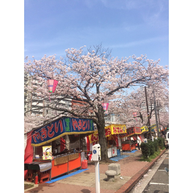 ﾌﾟﾚｰﾙ･ﾄﾞｩｰｸ横浜SOUTH Maison Loir 周辺