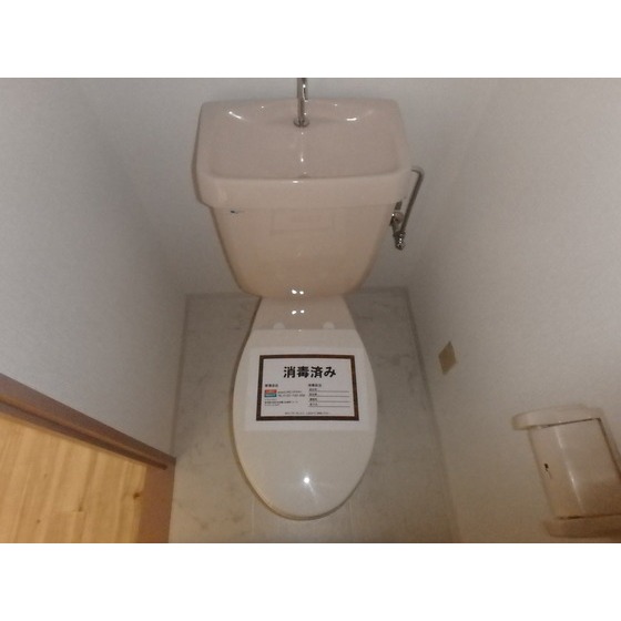 ビジュアルピア402号室 トイレ