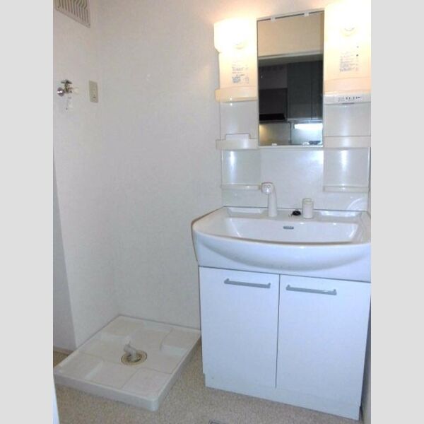 バードウィング 洗髪洗面化粧台と洗濯機置き場