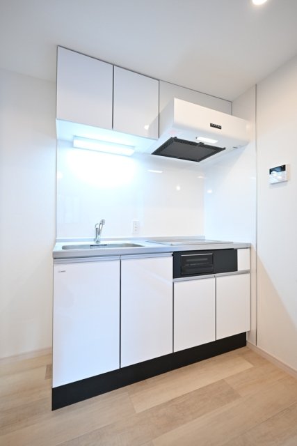 ＥＳ－Ｇｒａｎｄｅ文京白山3階 キッチン