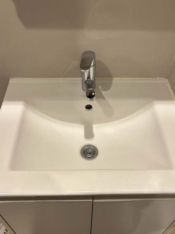 レイズ大久保1階 洗面