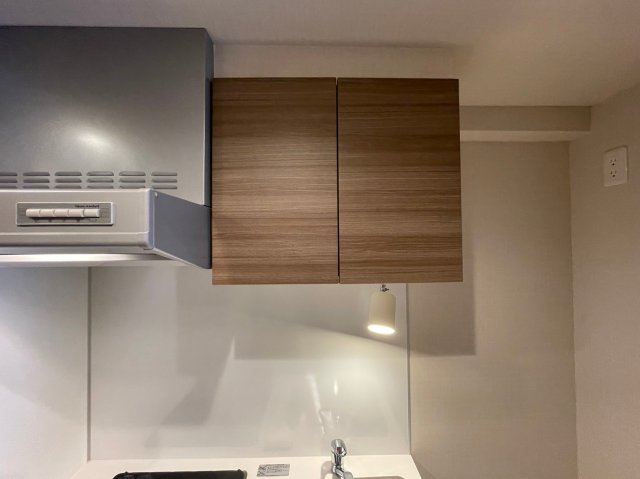 DIPS大山東町2303号室 キッチン