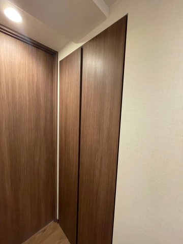 DIPS北千住603号室 収納
