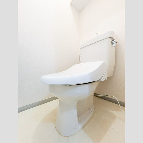 ドミールエム トイレ