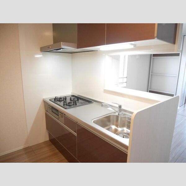 テロワール上石神井 201　キッチン